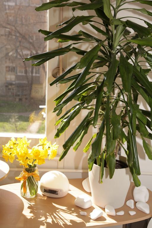 Apartment Spacious Liman Novi Sad Esterno foto