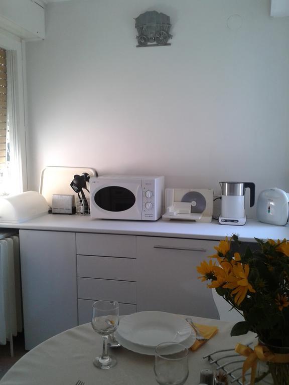 Apartment Spacious Liman Novi Sad Esterno foto